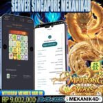 𝙏𝙊𝙋 𝙈𝘼𝙃𝙅𝙊𝙉𝙂 𝙒𝘼𝙔𝙎 !!