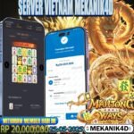 𝙏𝙊𝙋 𝙈𝘼𝙃𝙅𝙊𝙉𝙂 𝙒𝘼𝙔𝙎 !!