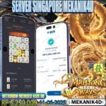 𝙎𝙋𝘼𝘾𝙄𝘼𝙇 𝙈𝘼𝙃𝙅𝙊𝙉𝙂 𝙒𝘼𝙔𝙎 !!