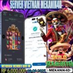 𝙒𝙄𝙇𝘿 𝘽𝘼𝙉𝘿𝙄𝙏𝙊 𝙏𝙊𝙋 𝟯 𝙂𝘼𝙈𝙀 !!