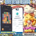 𝙇𝙐𝘾𝙆𝙔 𝙉𝙀𝙆𝙊 !!