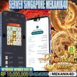 𝙈𝘼𝙃𝙅𝙊𝙉𝙂 𝙒𝘼𝙔𝙎 𝙊𝙉𝙁𝙄𝙍𝙀 !!