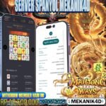 𝙈𝘼𝙃𝙅𝙊𝙉𝙂 𝙒𝘼𝙔𝙎 𝙊𝙉𝙁𝙄𝙍𝙀 !!