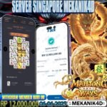 𝙏𝙊𝙋 𝙈𝘼𝙃𝙅𝙊𝙉𝙂 𝙒𝘼𝙔𝙎 !!