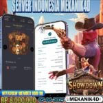 𝙒𝙄𝙇𝘿 𝘽𝙊𝙐𝙉𝙏𝙔 𝙎𝙃𝙊𝙒𝘿𝙊𝙒𝙉 !!