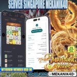 𝙏𝙊𝙋 𝙈𝘼𝙃𝙅𝙊𝙉𝙂 𝙒𝘼𝙔𝙎 !!