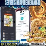 𝙎𝙋𝘼𝘾𝙄𝘼𝙇 𝙈𝘼𝙃𝙅𝙊𝙉𝙂 𝙒𝘼𝙔𝙎 !!