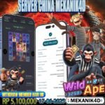 𝙒𝙄𝙇𝘿 𝘼𝙋𝙀 !!