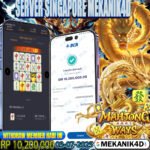 𝙎𝙋𝘼𝘾𝙄𝘼𝙇 𝙈𝘼𝙃𝙅𝙊𝙉𝙂 𝙒𝘼𝙔𝙎 !!