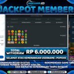 WD - Gates Of Olympus X1000