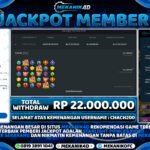 WD -  Starlight Princes X1000