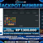 WD - Starlight Princes X1000