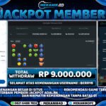 WD - Starlight Princes X1000