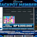 WD - Sweet Bonanza X1000