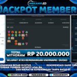 (2) WD - Gates Of Olympus X1000