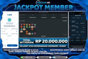 (2) WD - Gates Of Olympus X1000